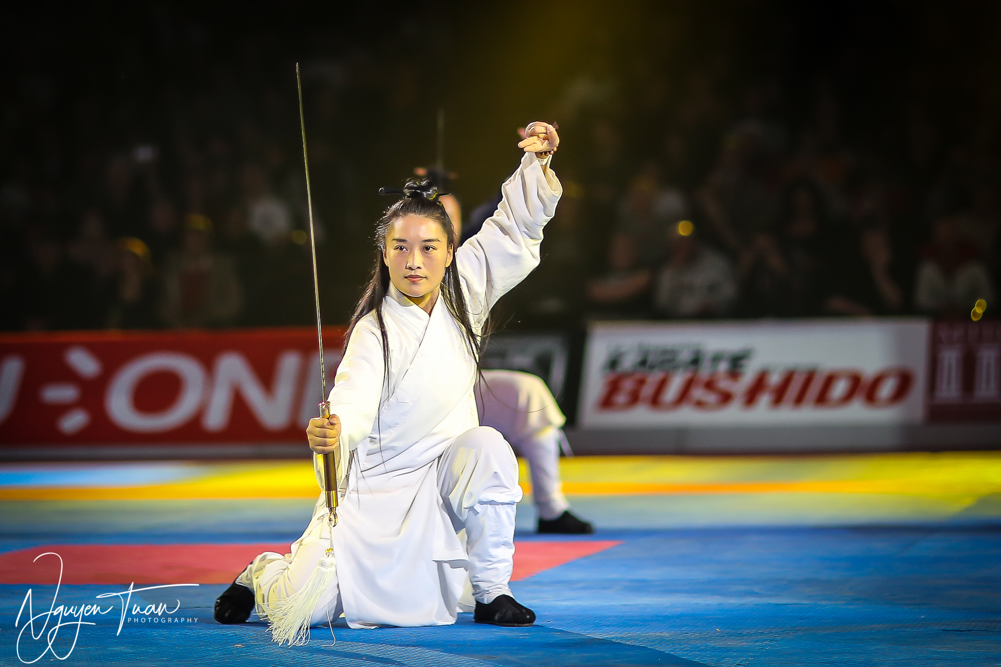 20190324 Festival des Arts Martiaux 2390